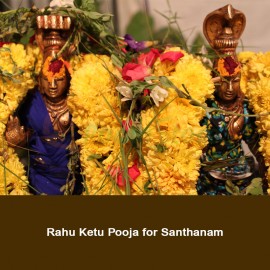 Rahu Ketu Pooja for Santhanam